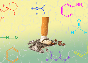 NicoZero blocks the receptor sensitivity to nicotine